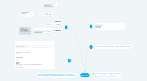 Mind Map: Lisa Prinzip