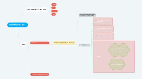 Mind Map: SISTEMA URINÁRIO