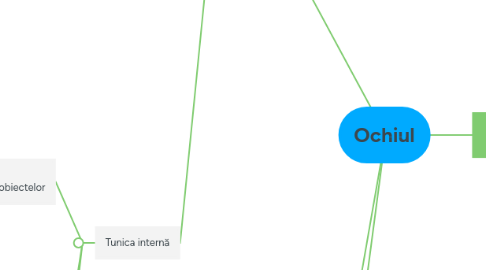 Mind Map: Ochiul