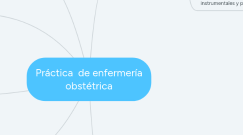 Mind Map: Práctica  de enfermería obstétrica