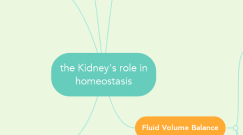 Mind Map: the Kidney's role in homeostasis