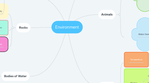 Mind Map: Environment