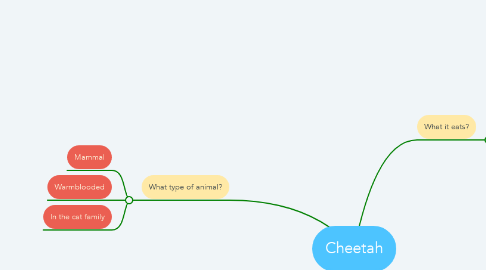 Mind Map: Cheetah