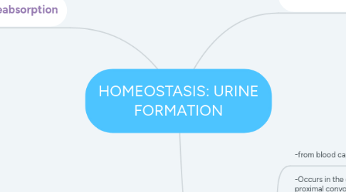 Mind Map: HOMEOSTASIS: URINE FORMATION