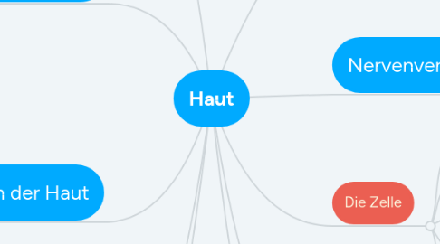 Mind Map: Haut