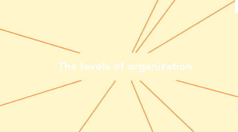 Mind Map: The levels of organization