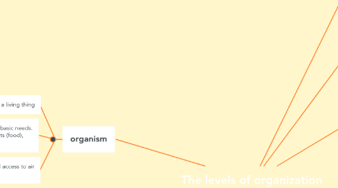 Mind Map: The levels of organization