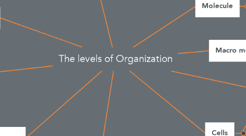 Mind Map: The levels of Organization