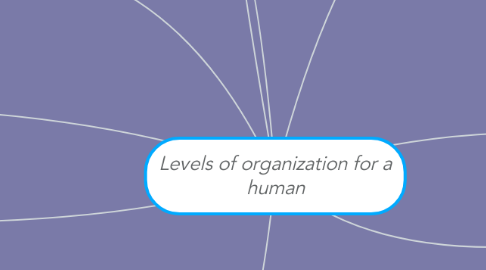 Mind Map: Levels of organization for a human