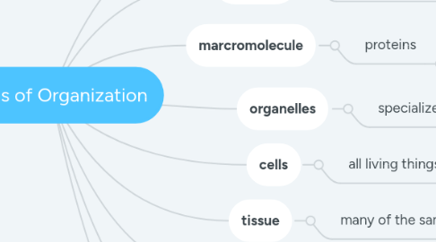 Mind Map: Levels of Organization