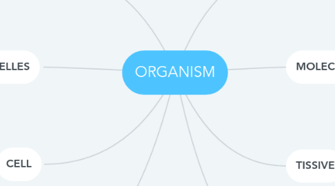 Mind Map: ORGANISM