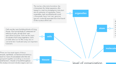 Mind Map: level of organization