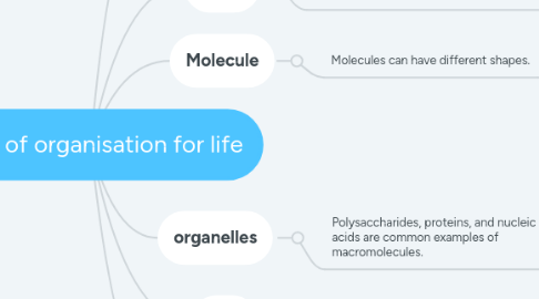 Mind Map: levels of organisation for life