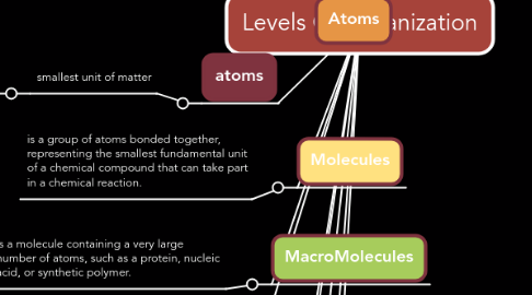 Mind Map: Levels Of Organization