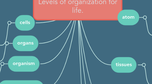 Mind Map: Levels of organization for life.