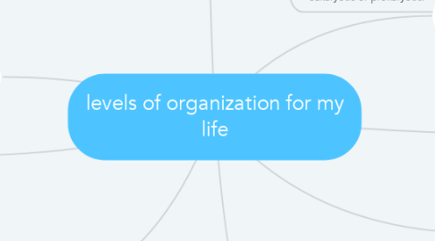 Mind Map: levels of organization for my life