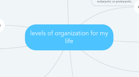 Mind Map: levels of organization for my life