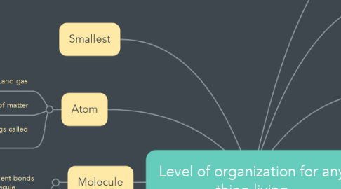 Mind Map: Level of organization for any thing living