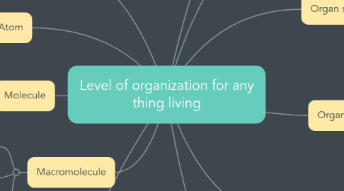 Mind Map: Level of organization for any thing living