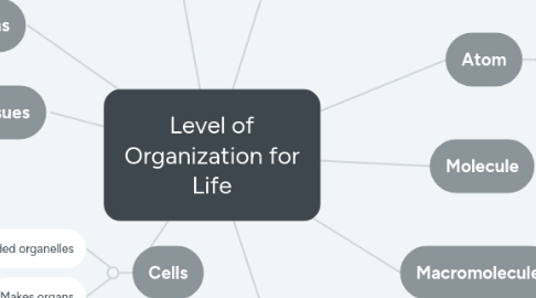 Mind Map: Level of Organization for Life