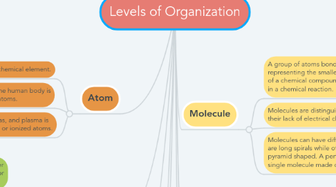 Mind Map: Levels of Organization