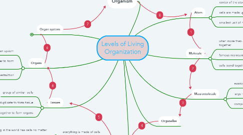 Mind Map: Levels of Living Organization