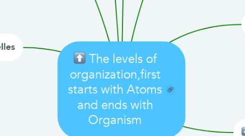 Mind Map: The levels of organization,first starts with Atoms and ends with Organism