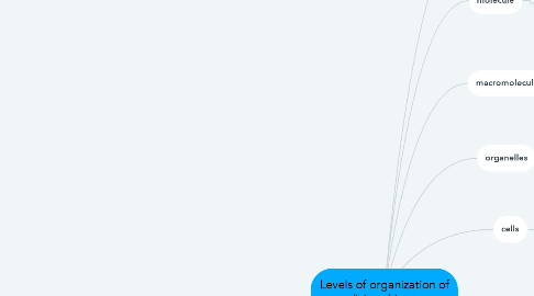 Mind Map: Levels of organization of living things