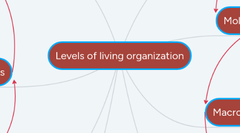 Mind Map: Levels of living organization