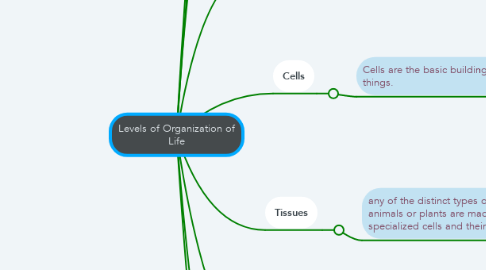 Mind Map: Levels of Organization of Life