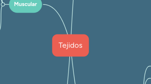 Mind Map: Tejidos