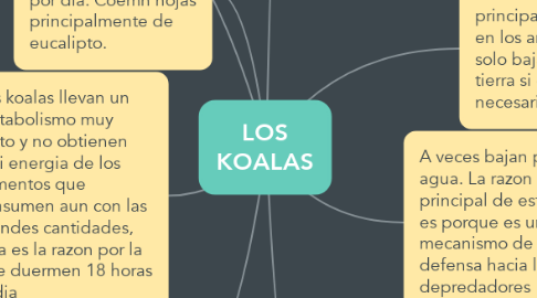 Mind Map: LOS KOALAS