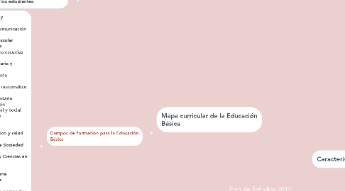 Mind Map: Plan de Estudios 2011
