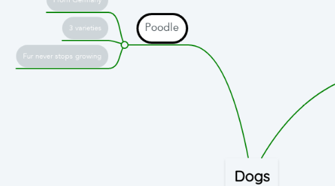 Mind Map: Dogs
