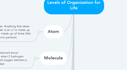 Mind Map: Levels of Organization for Life