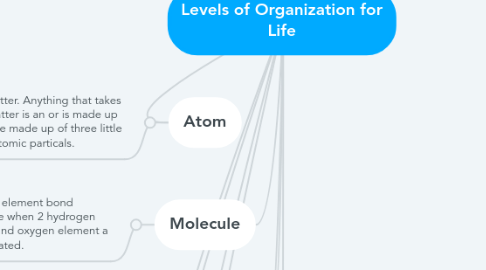 Mind Map: Levels of Organization for Life