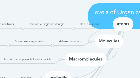 Mind Map: levels of Organization for life