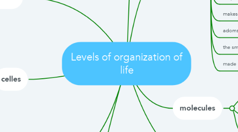 Mind Map: Levels of organization of life
