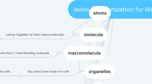 Mind Map: levels of organization for life