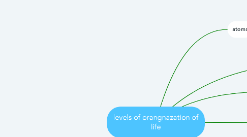Mind Map: levels of orangnazation of life