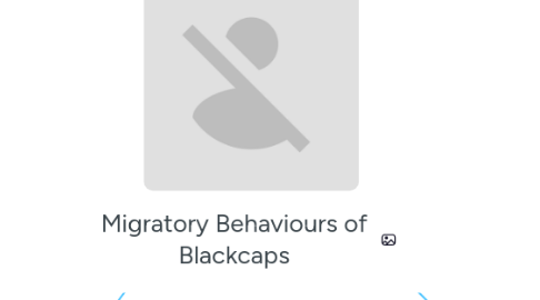 Mind Map: Migratory Behaviours of Blackcaps