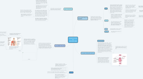 Mind Map: KIDNEY'S ROLE IN HOMEOSTASIS