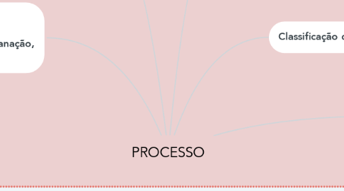 Mind Map: PROCESSO