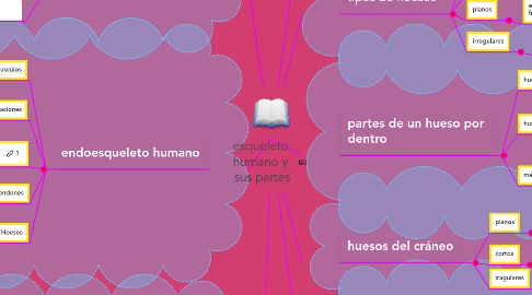 Mind Map: esqueleto  humano y  sus partes