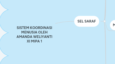 Mind Map: SISTEM KOORDINASI MENUSIA OLEH AMANDA WELIYANTI XI MIPA 1