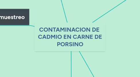 Mind Map: CONTAMINACION DE  CADMIO EN CARNE DE PORSINO