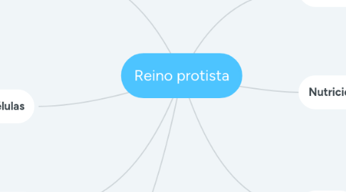 Mind Map: Reino protista