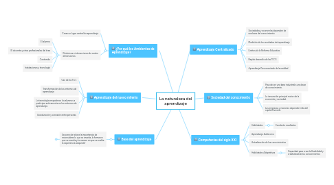 Mind Map: La naturaleza del aprendizaje