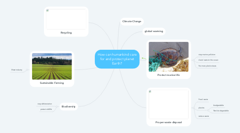 Mind Map: How can humankind care for and protect planet Earth?