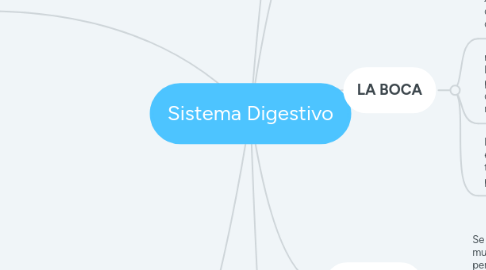 Mind Map: Sistema Digestivo